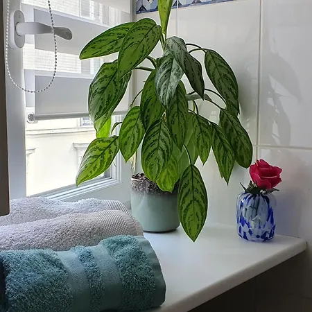 Cosy Le Marais 公寓 巴黎